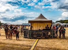 Festival du Chant de l'Eucalyptus, un événement 100% famille et confiance