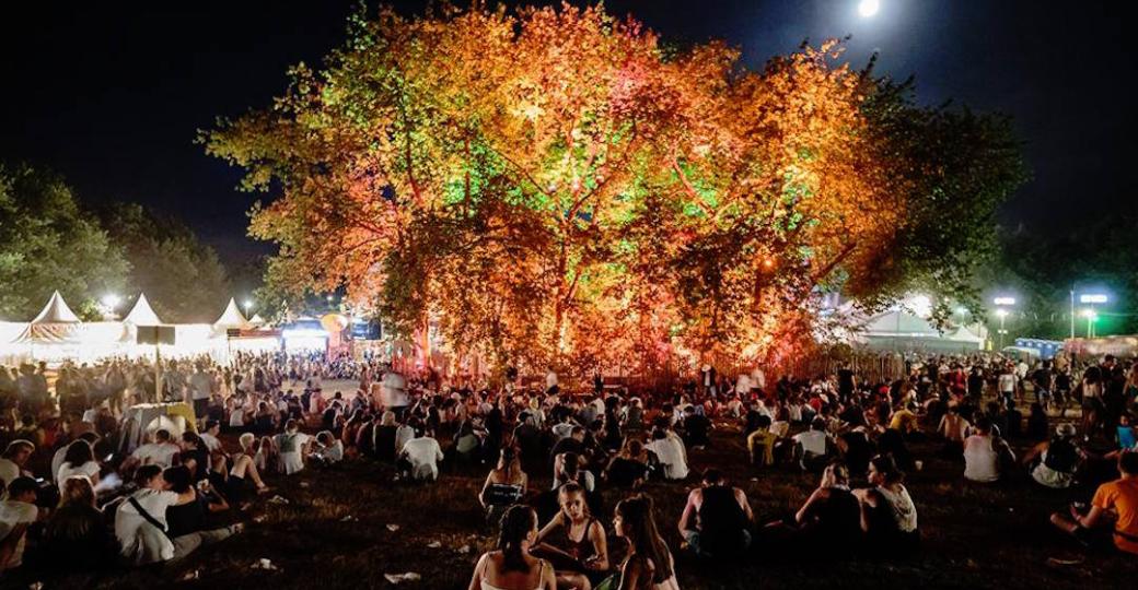 Un arbre à votre nom sur le camping des Eurockéennes de Belfort