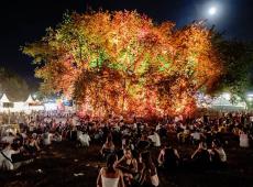 Un arbre à votre nom sur le camping des Eurockéennes de Belfort 