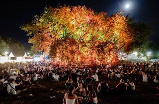 Un arbre à votre nom sur le camping des Eurockéennes de Belfort 