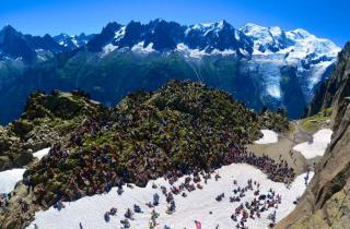 Où se cachent les plus beaux festivals d'été en France ? 