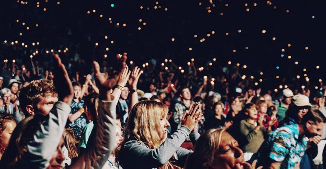 Les Nuits de l'Alligator, Electric Palace, Hors Pistes...