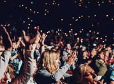 Les Nuits de l'Alligator, Electric Palace, Hors Pistes...