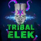 Festival Tribal Elek