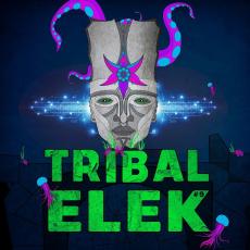 Festival Tribal Elek