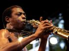 Femi Kuti, Orchestra Baobab, Touré Kunda : 7 nouveaux noms pour le festival Musiques Métisses