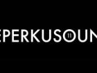 Deluxe, Dirtyphonics et Guts au Reperkusound version 2016