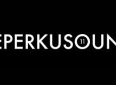 Deluxe, Dirtyphonics et Guts au Reperkusound version 2016