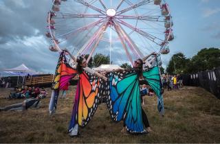 Que faire au festival Papillons de Nuit quand tu n'en pourras plus de pogoter ?