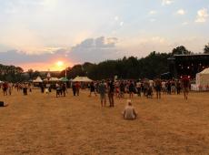 Chien à Plumes, Festival Interceltique, Reggae Sun Ska...