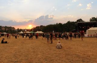 Chien à Plumes, Festival Interceltique, Reggae Sun Ska...