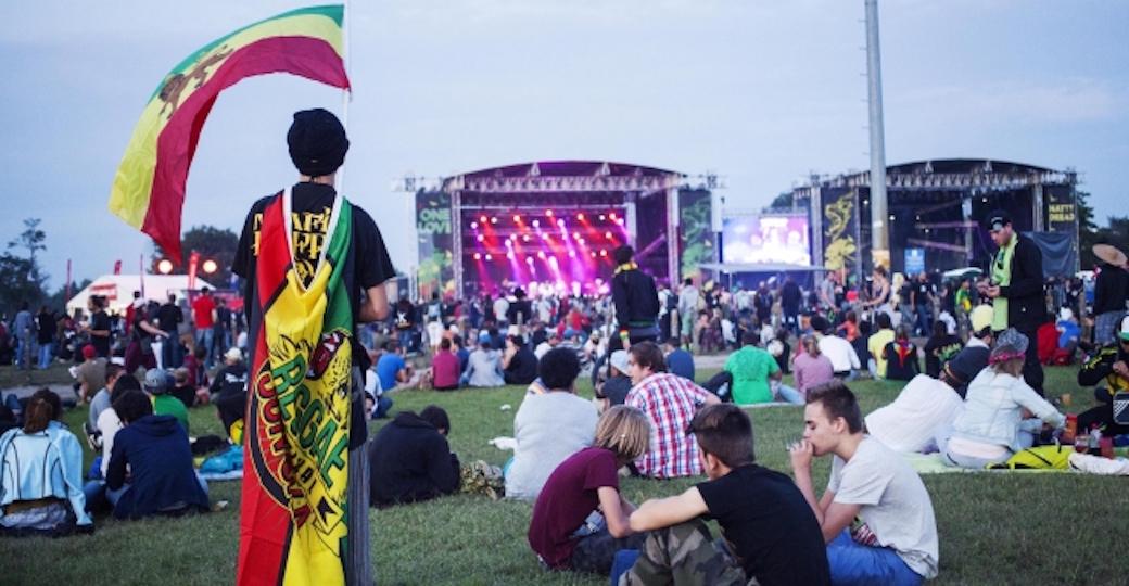 Reggae Sun Ska, Festival Interceltique, Au Pont du Rock...