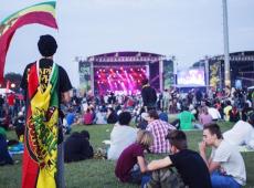 Reggae Sun Ska, Festival Interceltique, Au Pont du Rock...