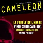 Festival Cameleon