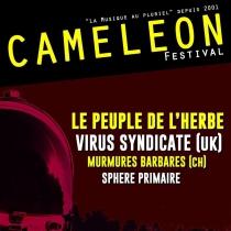Festival Cameleon