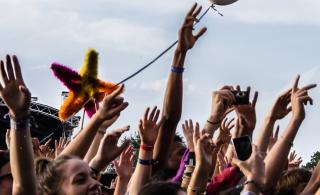 Festival des Vieilles Charrues : épique odyssée bretonne