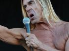 Iggy Pop au festival les Escales