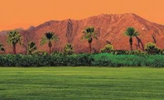 Guns N Roses, LCD Soundsystem et Sia: le programme complet de Coachella 2016