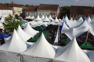 Jazz In Marciac, le village en or