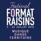 Festival Format Raisins