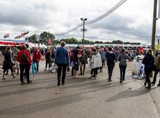 Fête de l'Huma, Hog Hog, Wadada Festival ...