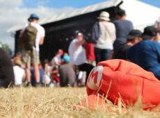 Vieilles Charrues : le top des geeks