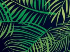20 nouveaux noms rejoignent l'affiche de Rock en Seine
