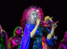 We Love Green 2018 : Björk en première tête d'affiche 