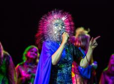 We Love Green 2018 : Björk en première tête d'affiche 