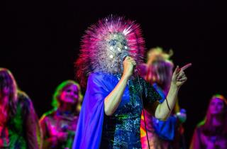 We Love Green 2018 : Björk en première tête d'affiche 