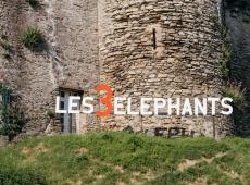 Etienne Daho, SDM et Aupinard au programme des 3 Eléphants 2024