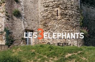 Etienne Daho, SDM et Aupinard au programme des 3 Eléphants 2024