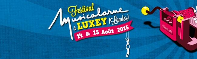 Festival Musicalarue 2015: le programme complet