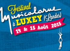 Festival Musicalarue 2015: le programme complet