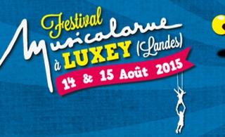 Festival Musicalarue 2015: le programme complet